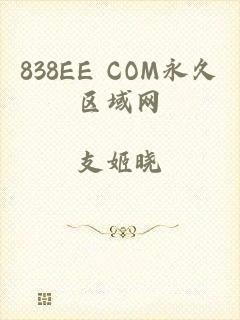 838EE COM永久区域网